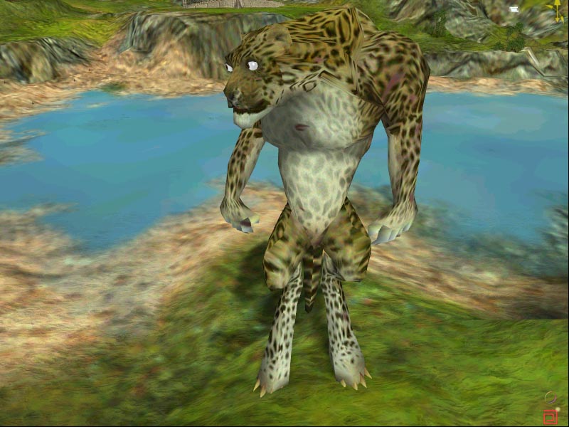 leopard black and white wiki fandom powered by wikia