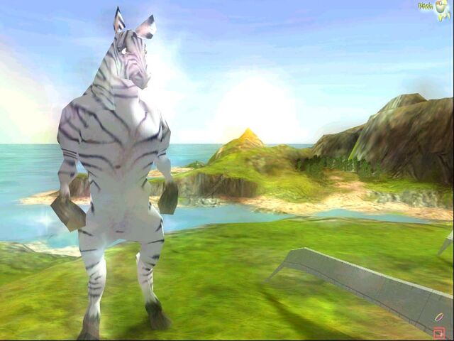 File:Zebra.jpeg