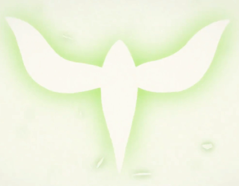 Mana Black Clover Wiki Fandom