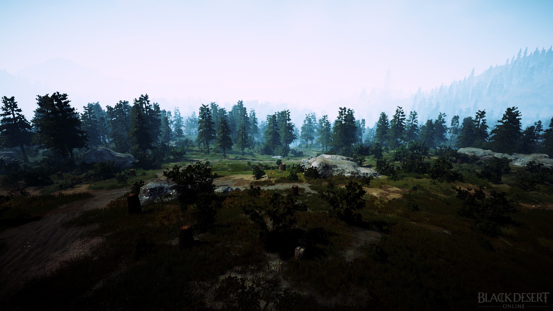 Calpheon Castle Site Black Desert Wiki Fandom