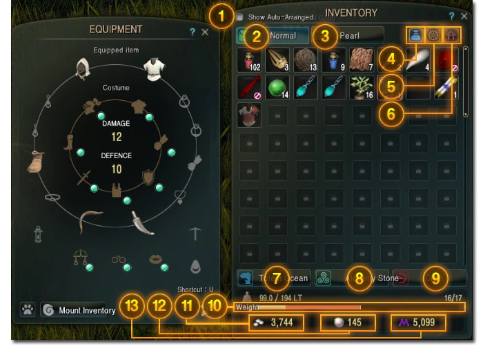 Image Inventory.png Black Desert Wiki FANDOM powered by Wikia