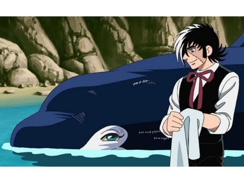 Black Jack Manga Wiki Black Jack Manga Wiki
