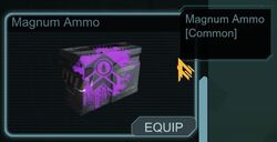 Magnum Ammo