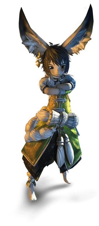 Lyn Blade And Soul Wiki Fandom