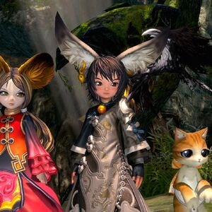 Lyn Blade And Soul Wiki Fandom