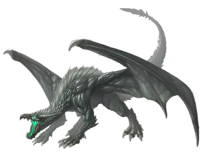 Gray Dragon