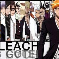 Bleach Hollows Return