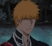 Ichigo Shinigami