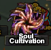 SoulCultivationIcon