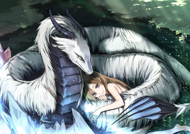 https://vignette.wikia.nocookie.net/bleach-rp/images/4/42/Beautiful-White-Dragon-Girl-Love-Protection.jpg/revision/latest/scale-to-width-down/640?cb=20131211223510