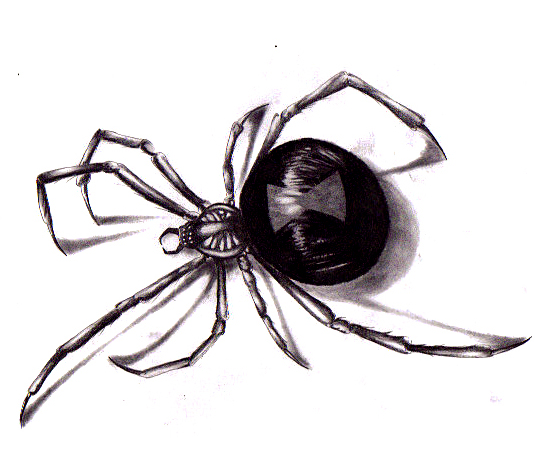 Image - Spider.png | Bleach RP Wiki | FANDOM powered by Wikia