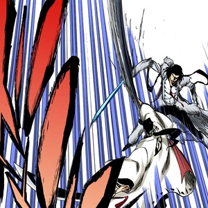 Irooni Bleach Wiki Fandom