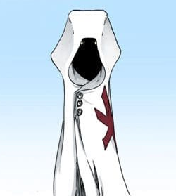 Image result for bleach wiki pernida parnkgjas