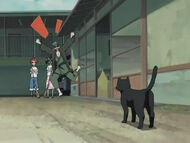 UraharaExcitedToSeeYoruichi
