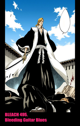 File:495Cover.png