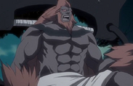 237Hozukimaru asks