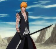 Ichigo Post Dangai