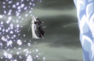 232Sode no Shirayuki appears