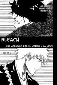 Bleach4-2-