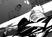 Ichigo menebas Raja Roh
