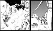 Capitulo 285