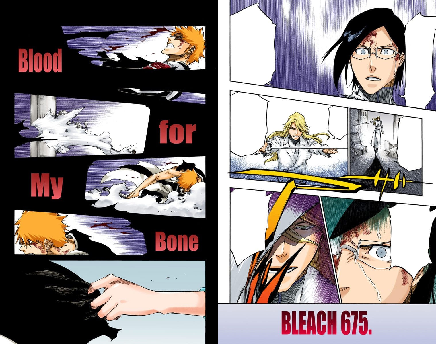 Image - 675Cover.png | Bleach Wiki | FANDOM powered by Wikia