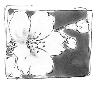 The Ordinary Peace Bleach Wiki Fandom