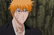 233Ichigo says this is not true