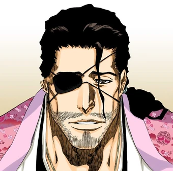 Shunsui KyÅraku Bleach Wiki Fandom