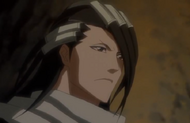 Byakuya Kuchiki vs. Sode no Shirayuki | Bleach Wiki | FANDOM powered by