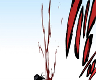 501Byakuya is slashed