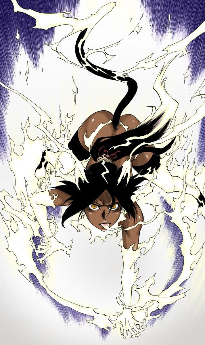 Yoruichi Lightning Cat Form