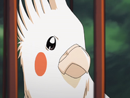 Ep4YūichiShibata