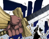 139Komamura's Shikai, Tenken