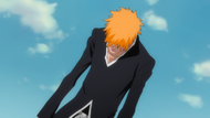 296Ichigo notes