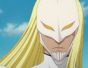 Findorr Masque Entier