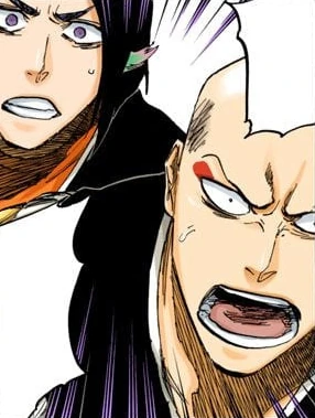 Ikkaku Madarame Bleach Wiki Fandom
