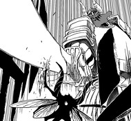File-Komamura Bankai Vs Tousen