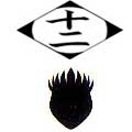 Duodécima Division Insignia