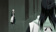 Reigai-Hitsugaya approaches Byakuya