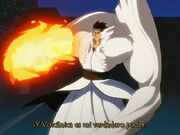 Volcanica2