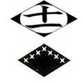 Undécima Division Insignia