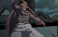 237Hozukimaru assumes