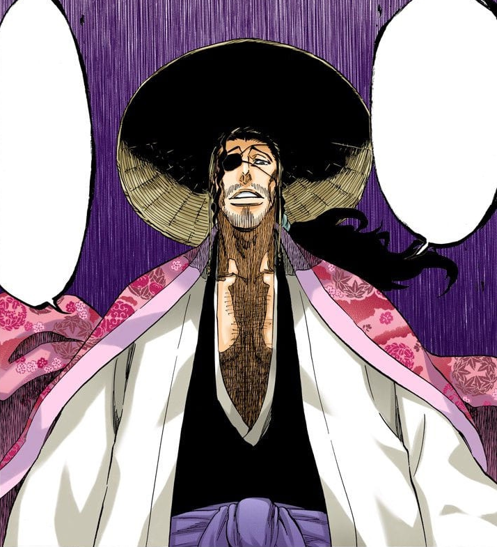 Image - 645Shunsui introduces.png | Bleach Wiki | FANDOM powered by Wikia
