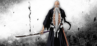 BBS Yamamoto's Bankai