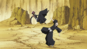 Ep206UraharaYoruichiSpar