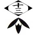 Decimotercera Division Insignia