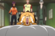 231Kon cries