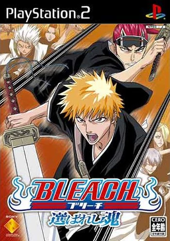 Bleach Erabareshi Tamashii Bleach Wiki Fandom