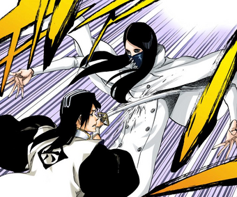 Byakuya Kuchiki Vs As Nodt Bleach Wiki Fandom